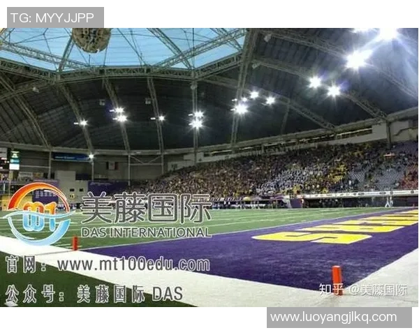 中美体育文化差异对比解析：理念、习惯与发展路径的深度剖析